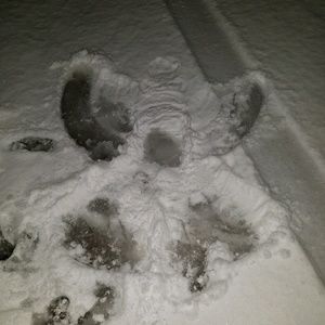 Meet your Posher, Candy